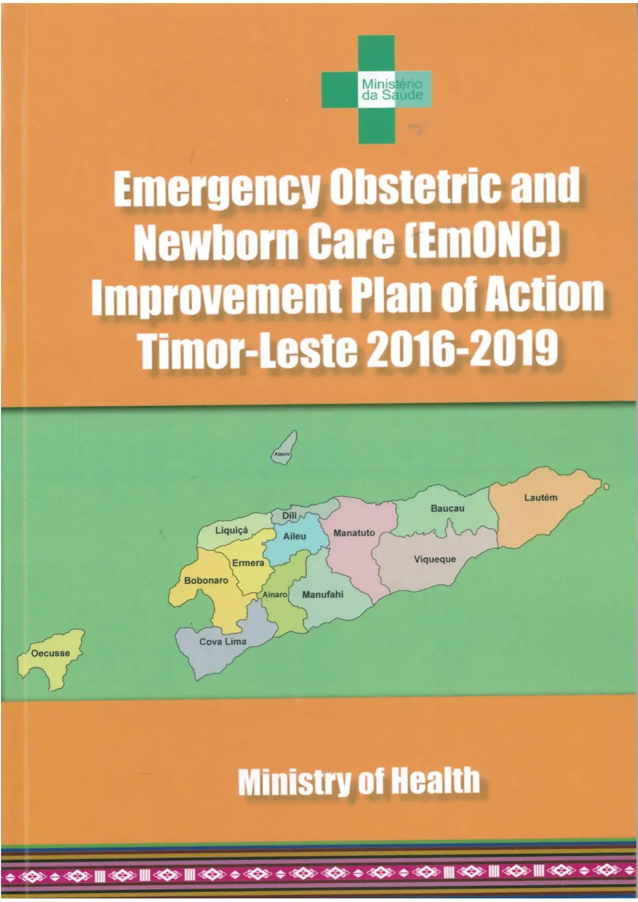 Emergency Obstetric and EmONC Improvement Plan of Action