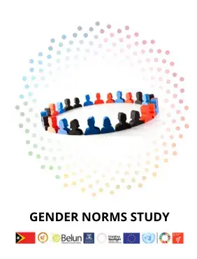 Gender Norms Study 